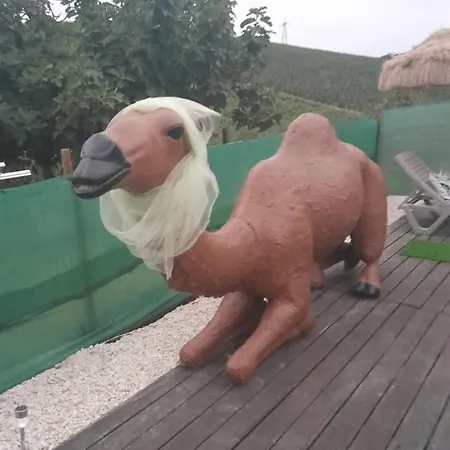 Séjour chez l'habitant Patudos *